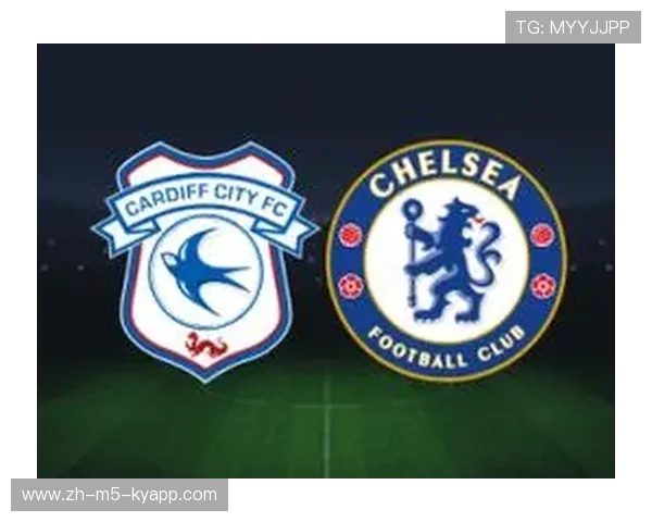 卡迪夫城边路传中频繁，蓝鸟军团全力进攻，卡迪夫 蜂鸟