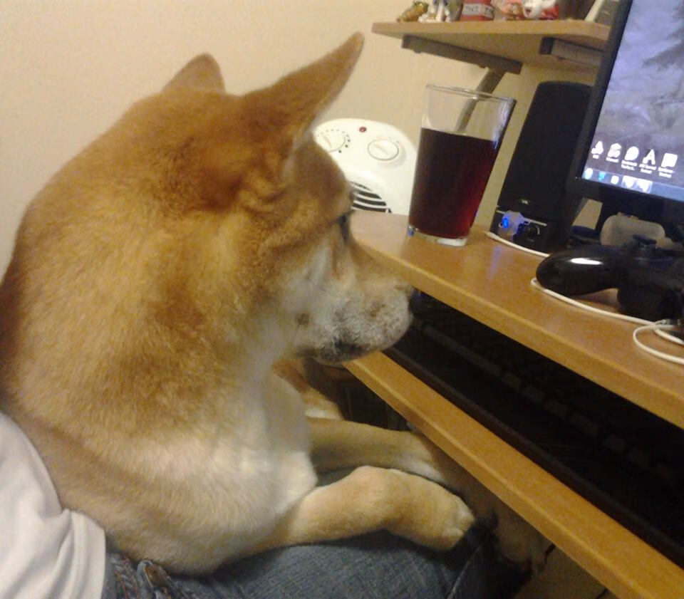 运动员运动表现数据分析,运动员训练及运动表现监控