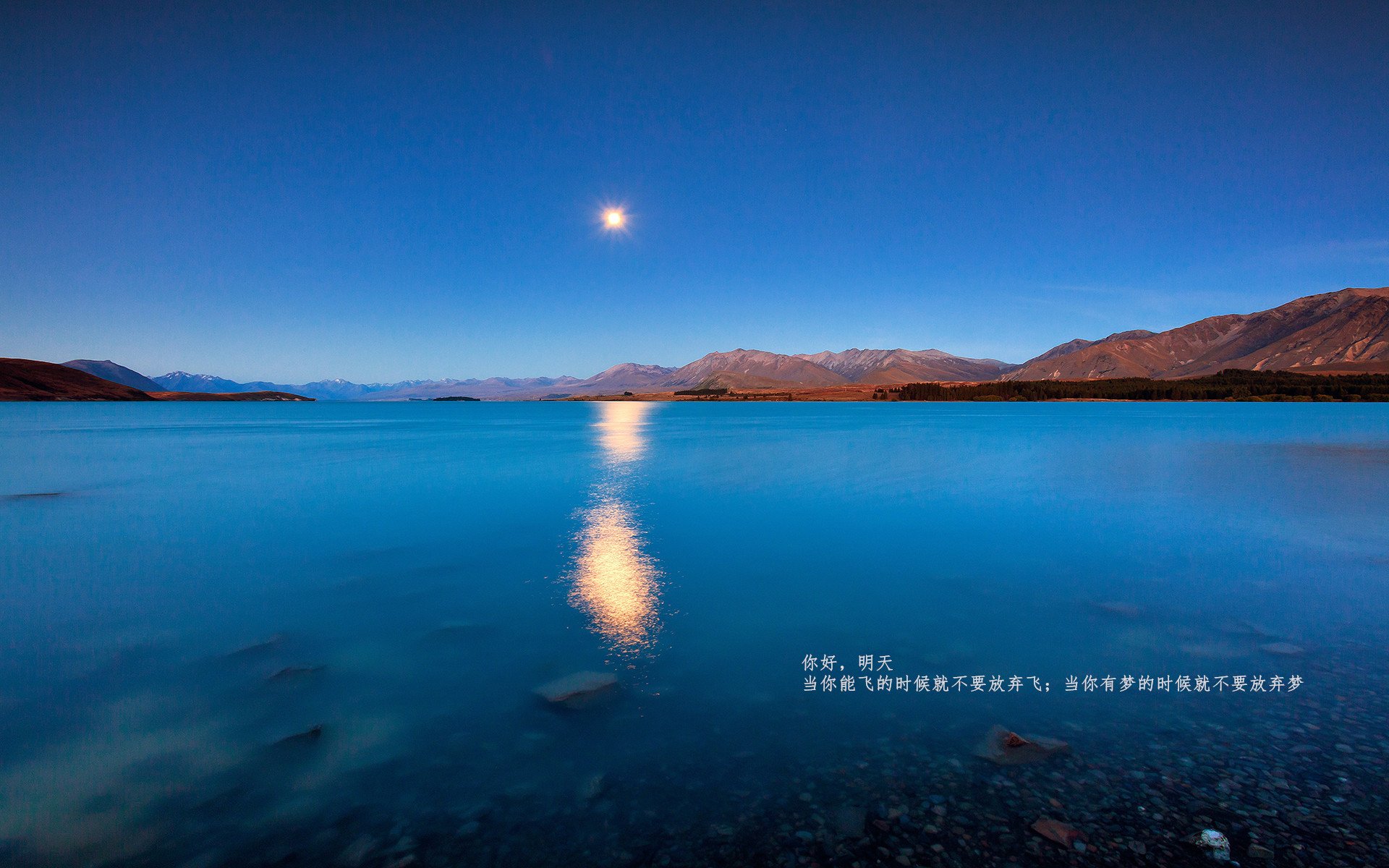 “全力出击！四川省体育馆自由搏击选手激战正酣”