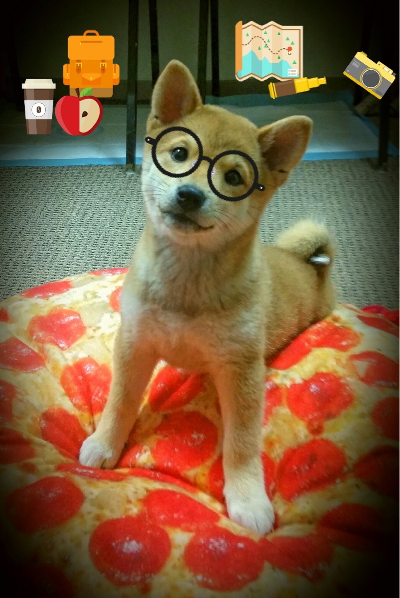 世界围棋赛新人异军突起表现稳定，世界围棋比赛视频讲解