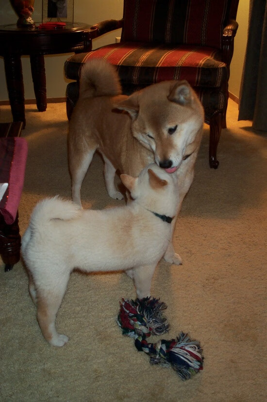 五大联赛是否通过压缩中场空间提升防守效率,五大联赛中场球员