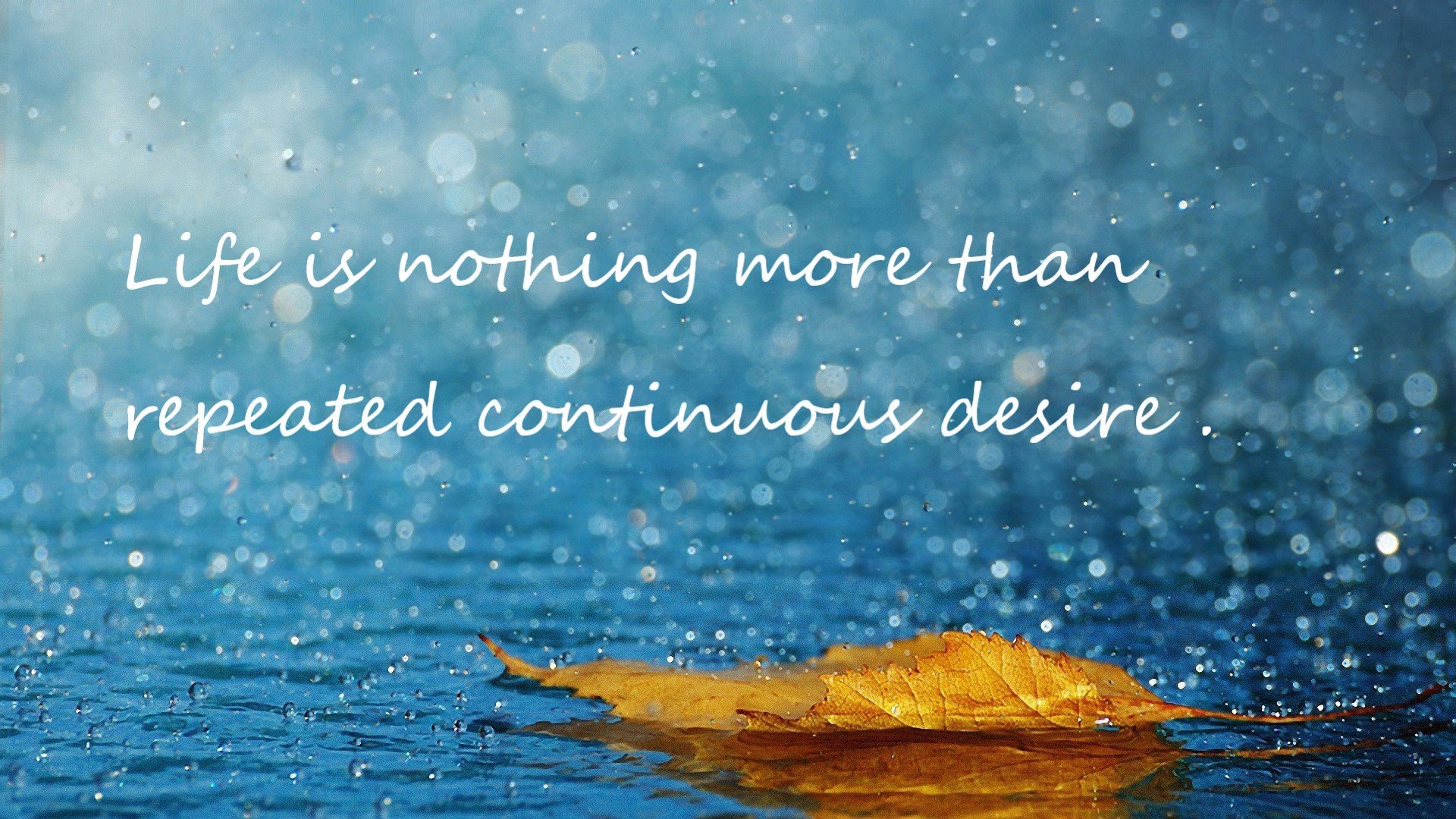 波兰队在国际乒联混合团体世界杯中的表现总结与反思,波兰乒乓球公开赛