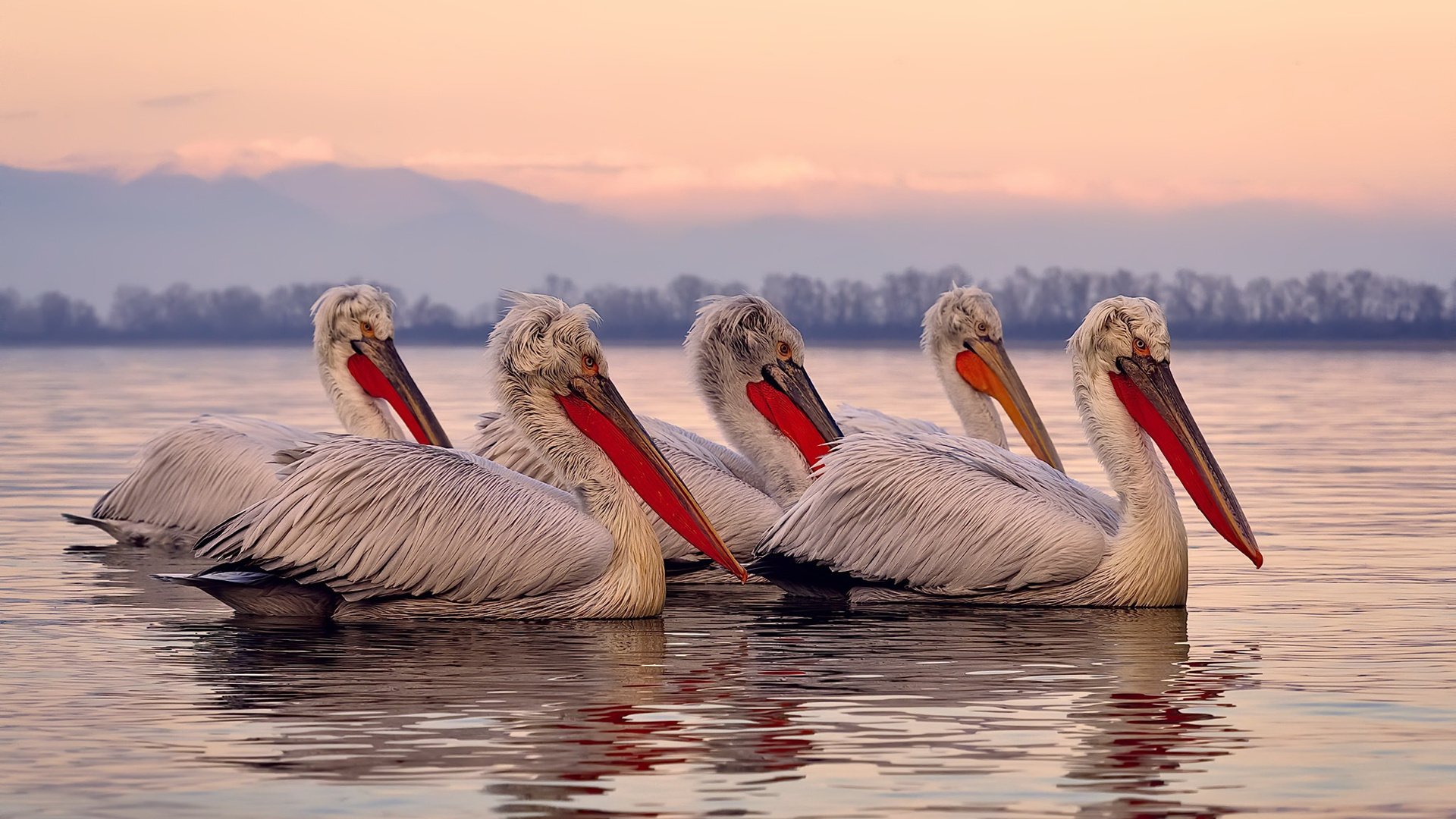 kaiyun网站-球员自媒体崛起带动篮球内容生态爆发，篮球自媒体怎么赚钱
