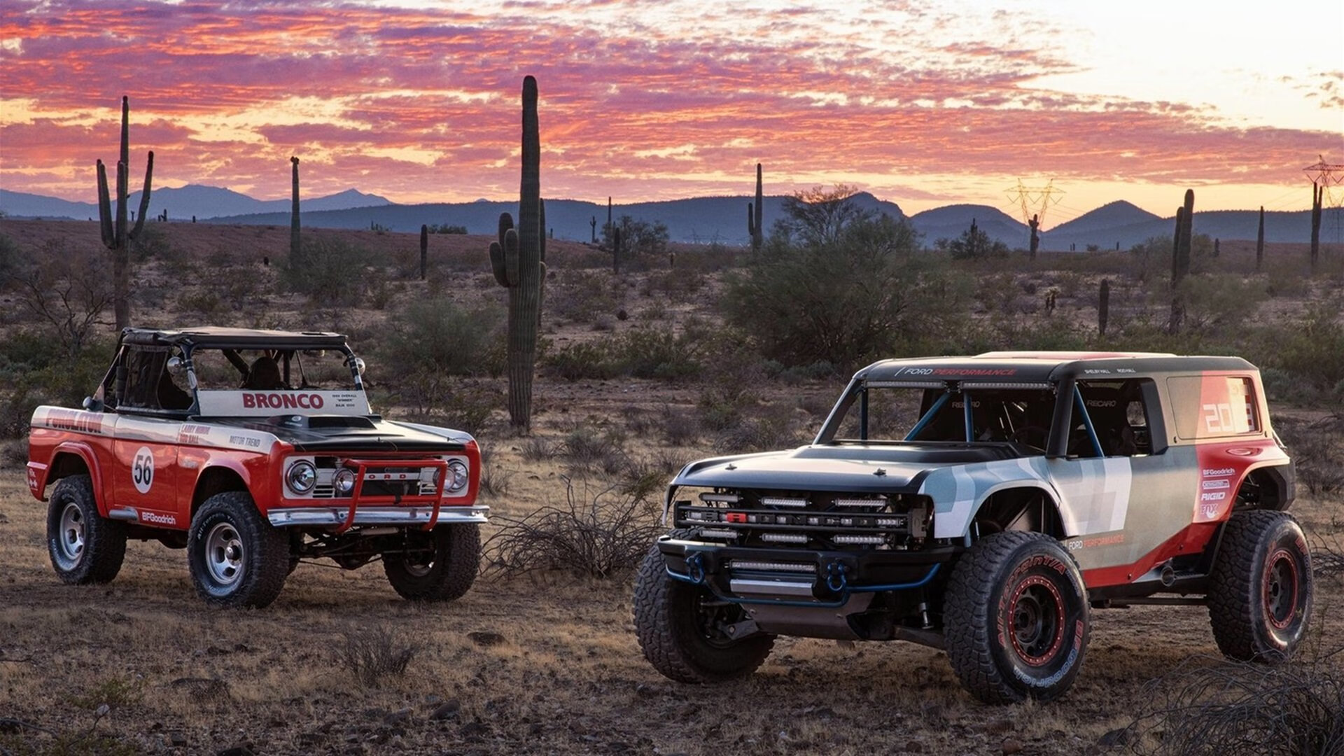 田径选手生涯规划指导系统推广试点，田径计划
