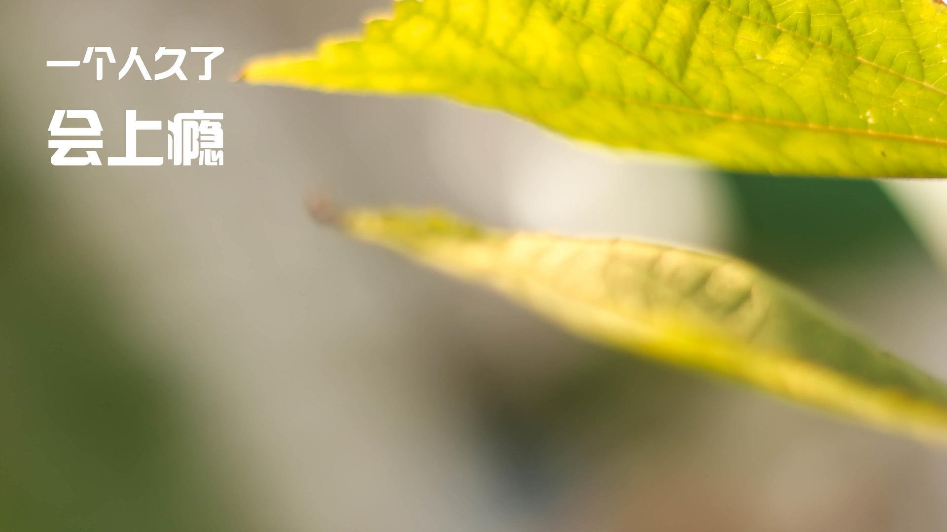 中国篮协推动媒体合作提升国内篮球传播力与国际影响力，篮球媒体人