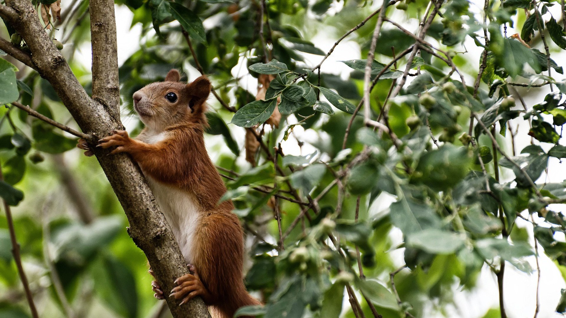 伊丽莎白·德克斯刷新个人最佳成绩，伊丽莎白和德雷克
