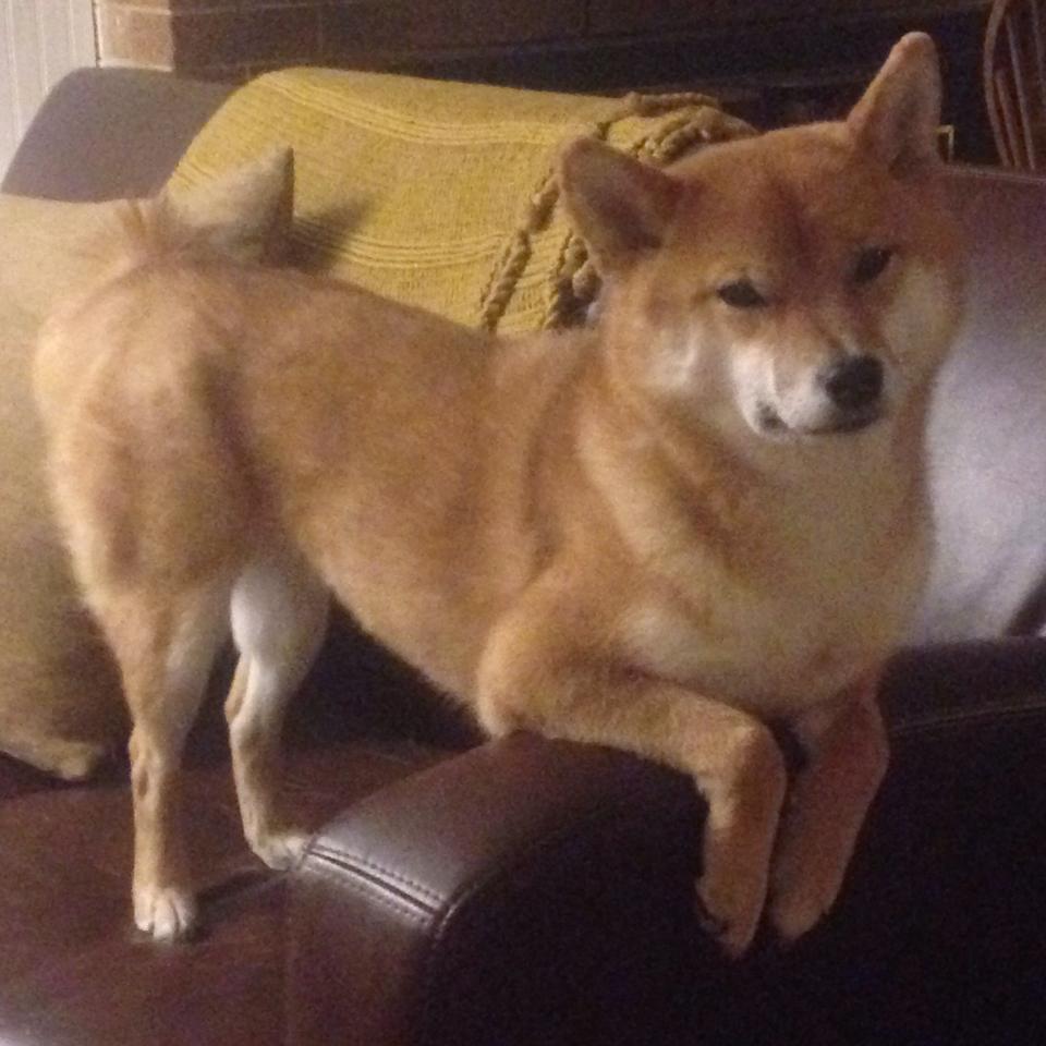 开云注册-五大联赛争冠形势逐渐明朗，五大联赛精彩程度