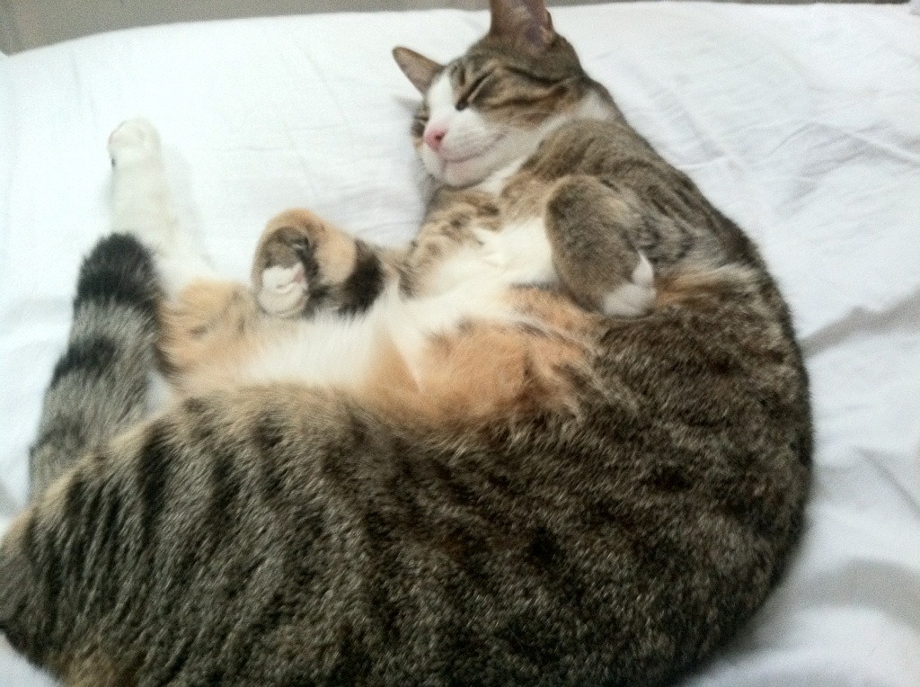 kaiyun体育app-克莱尔稳扎稳打 展现自由泳长项实力，克莱尔jmb