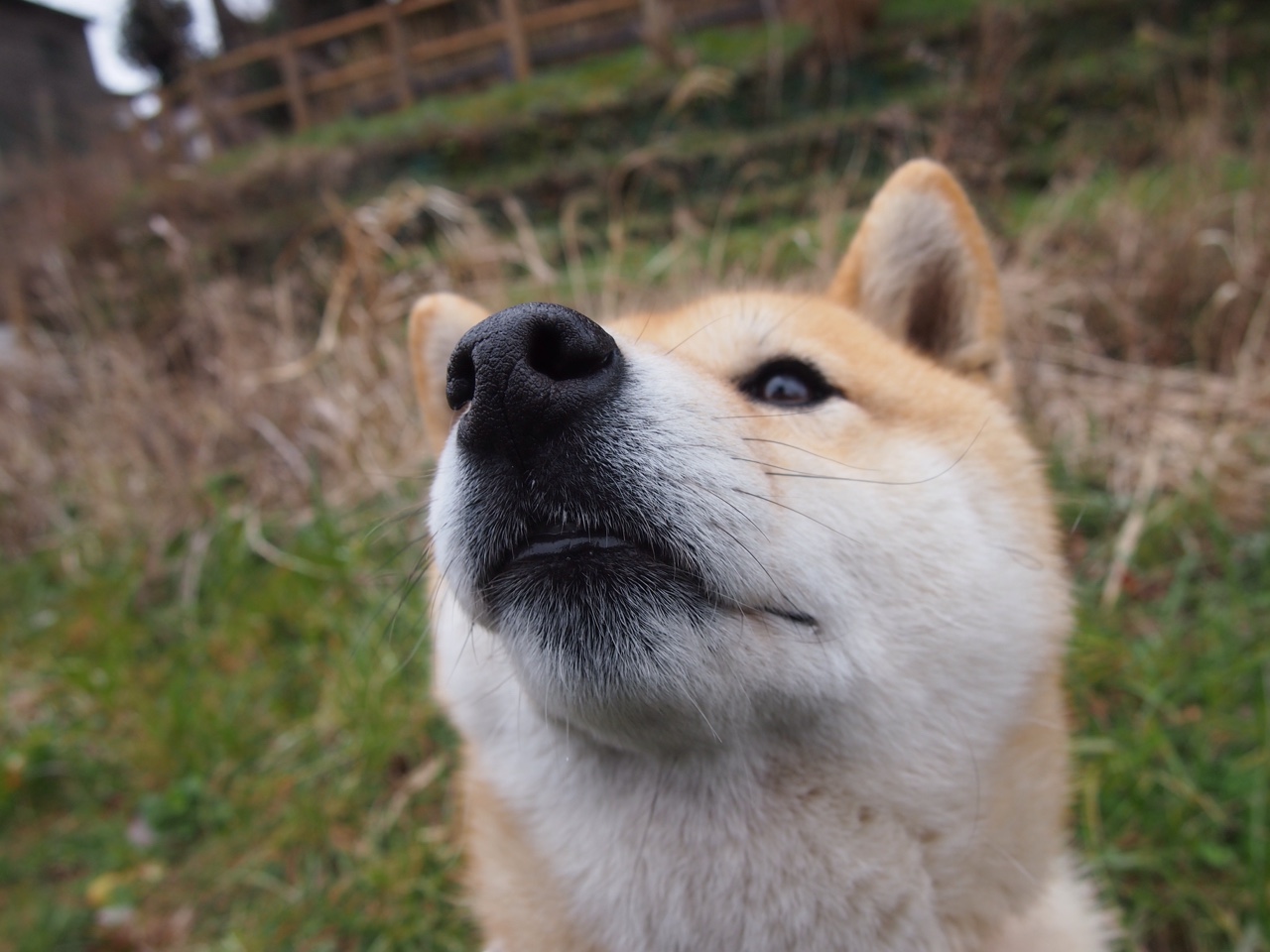 开云备用-卡萨斯决赛发挥稳定赢得喝彩，卡萨斯大曲